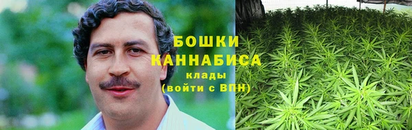 гашик Аркадак
